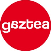 Euskadi Gaztea